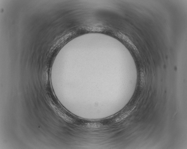 X0000081580541200702051241