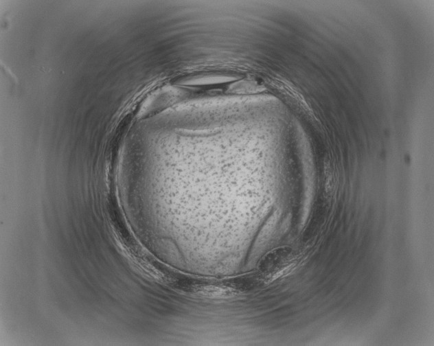 X0000081580542200702051242