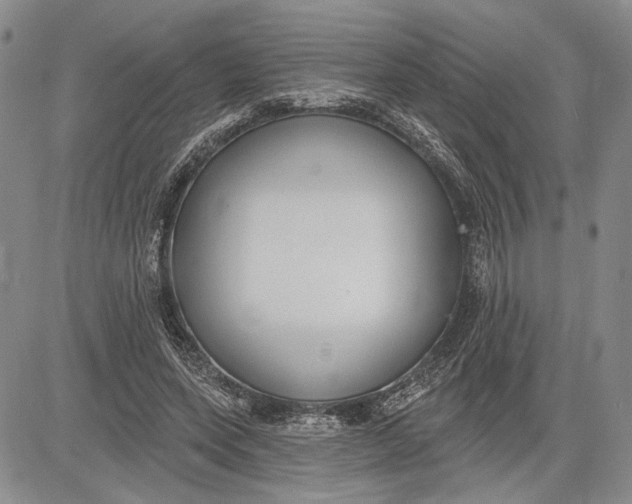 X0000081580543200702051242