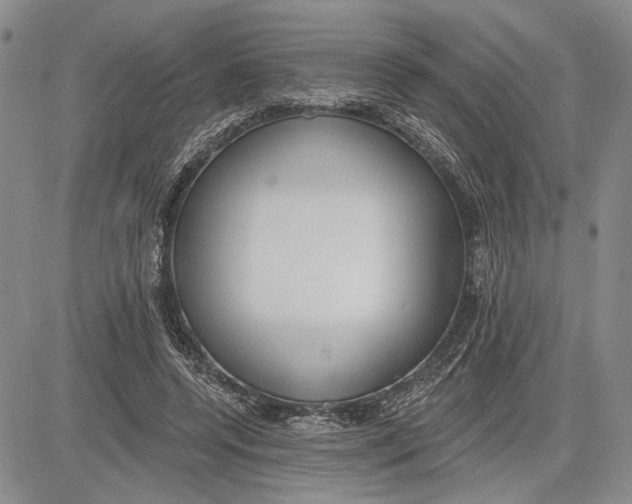 X0000081580544200702051242