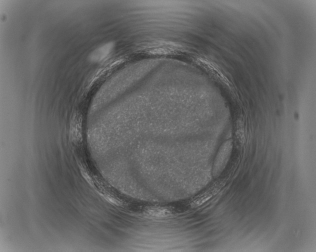 X0000081580547200702051242