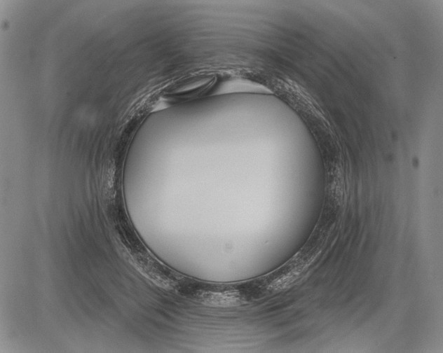 X0000081580548200702051242