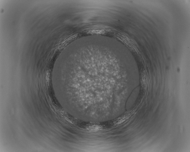 X0000081580551200702051242