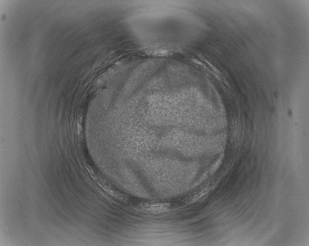 X0000081580553200702051242