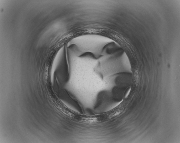 X0000081580554200702051242