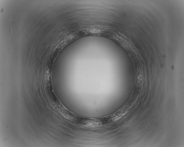 X0000081580555200702051242