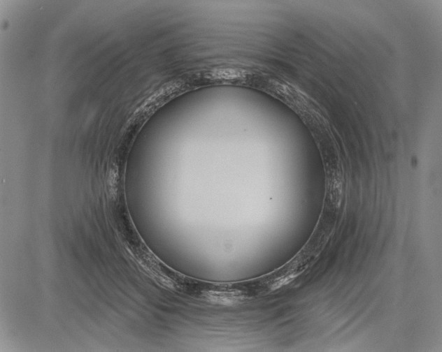 X0000081580556200702051242