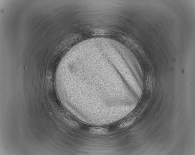 X0000081580557200702051242