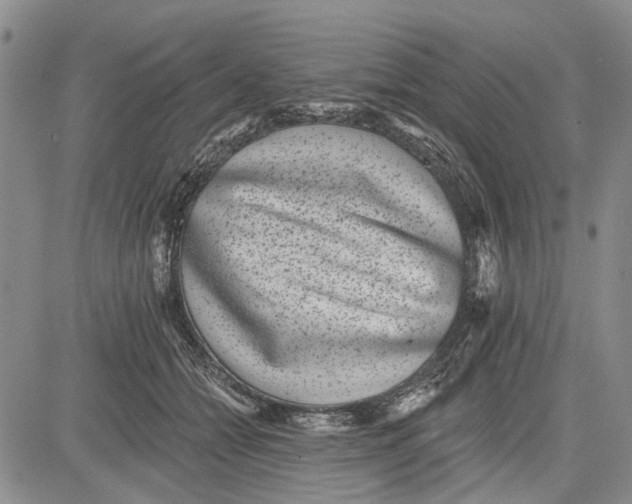 X0000081580558200702051242