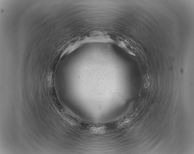 X0000081580560200702051242