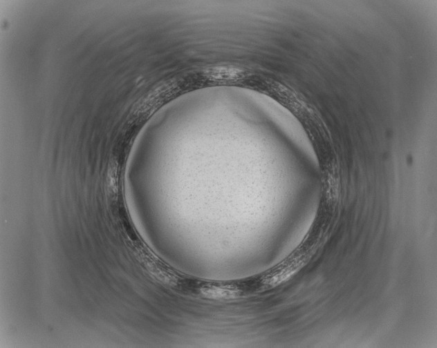 X0000081580561200702051242