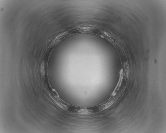 X0000081580562200702051242