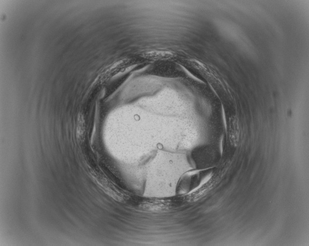 X0000081580563200702051242