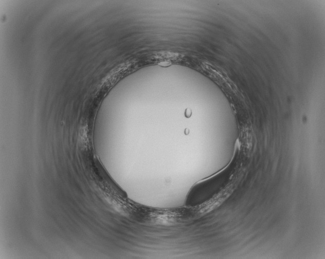 X0000081580564200702051242