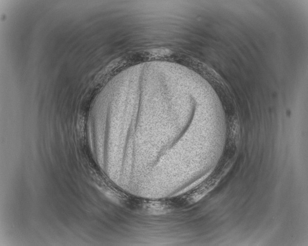 X0000081580565200702051242