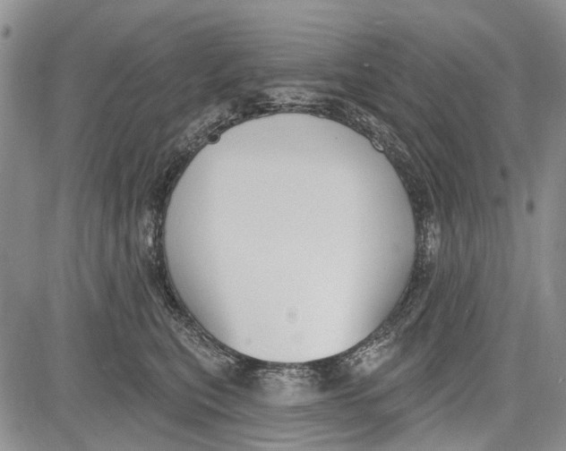 X0000081580567200702051242