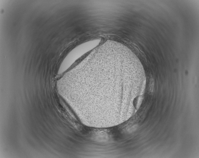 X0000081580569200702051242