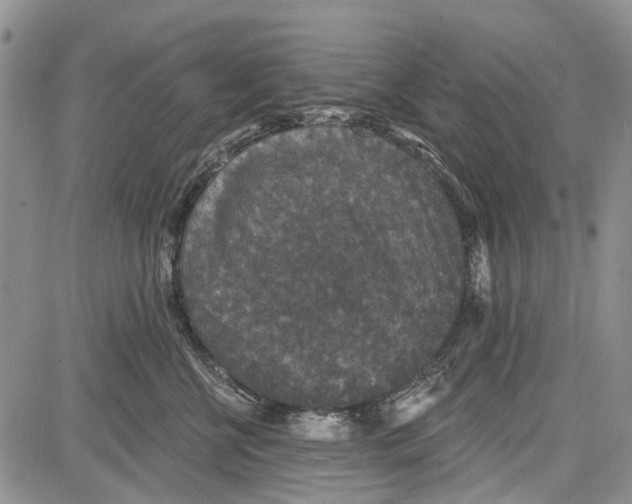 X0000081580570200702051242