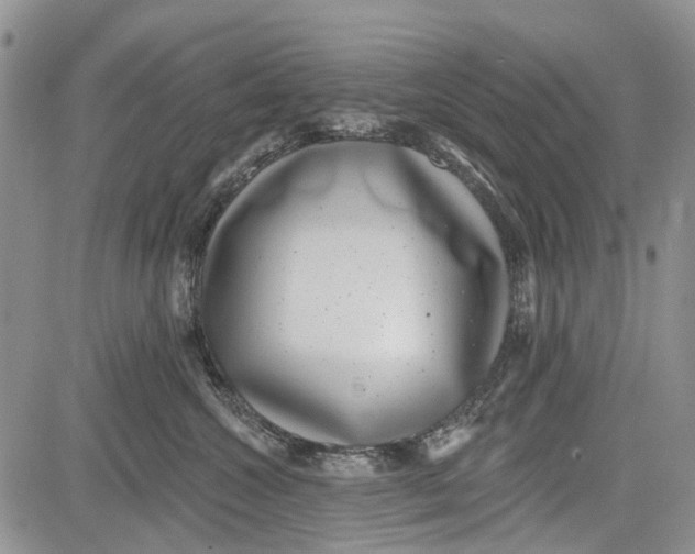 X0000081580572200702051242