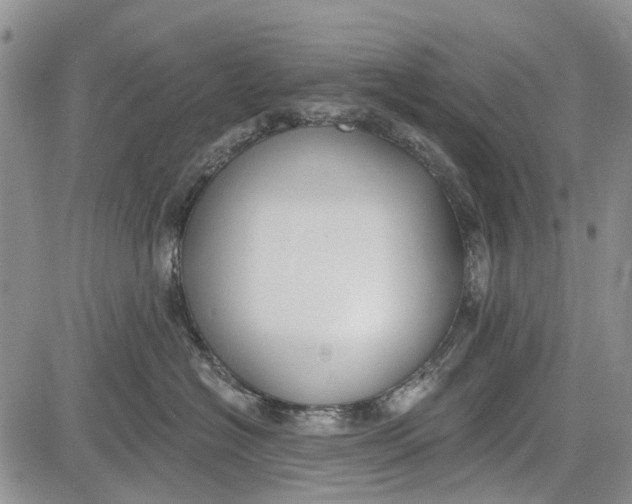 X0000081580574200702051242