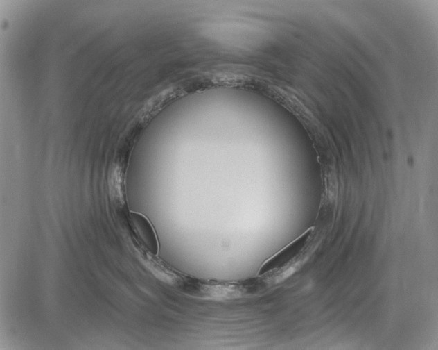 X0000081580575200702051242