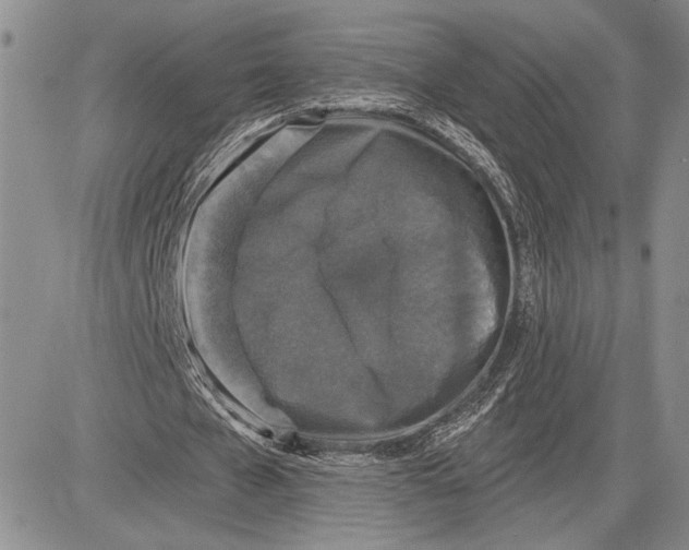 X0000081580577200702051241