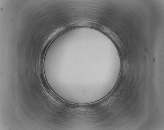 X0000081580578200702051241