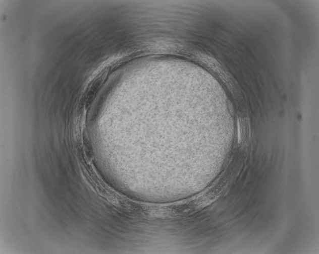 X0000081580579200702051241