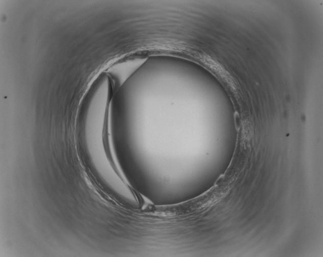 X0000081580580200702051241