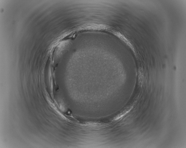 X0000081580581200702051241