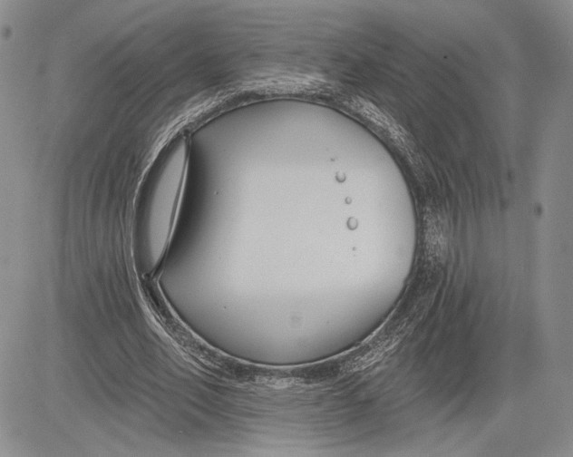 X0000081580582200702051241