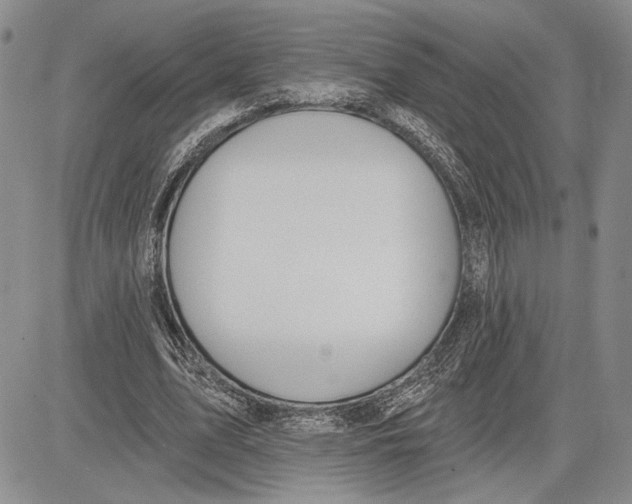 X0000081580583200702051241