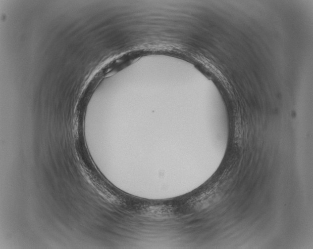 X0000081580584200702051241