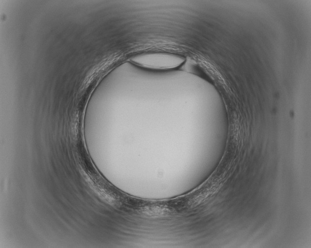 X0000081580586200702051241