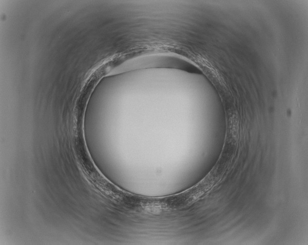 X0000081580587200702051241