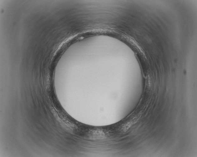 X0000081580588200702051241