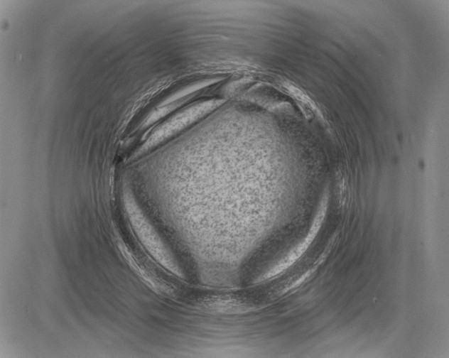 X0000081580589200702051241