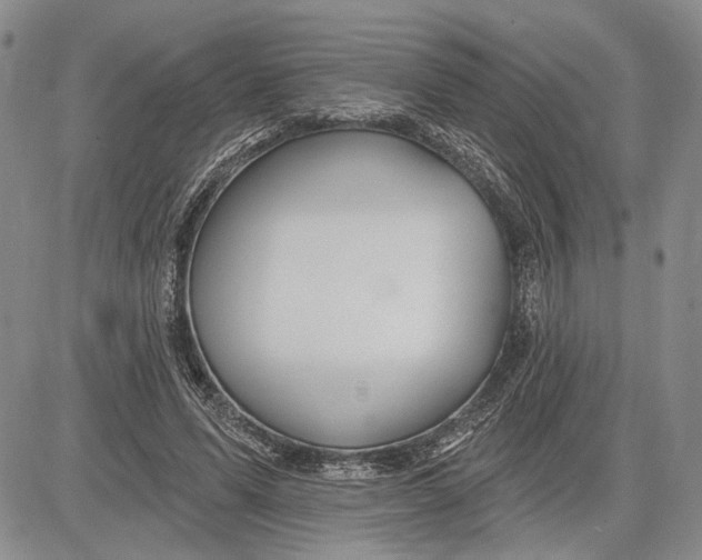 X0000081580591200702051241