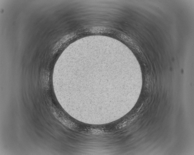 X0000081580592200702051241