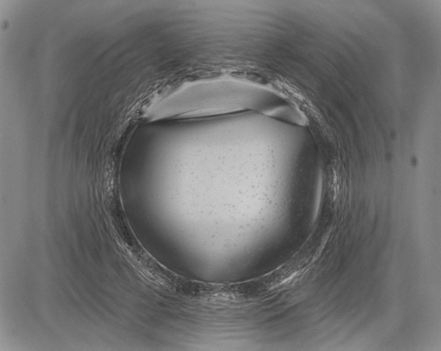 X0000081580593200702051241