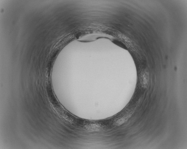 X0000081580594200702051241