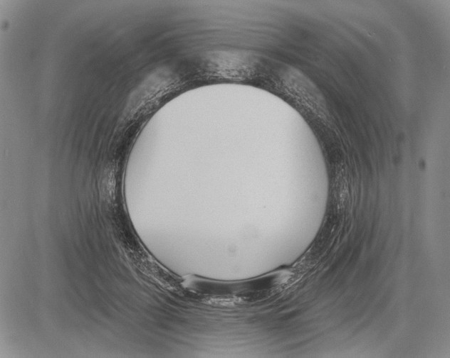 X0000081580595200702051241