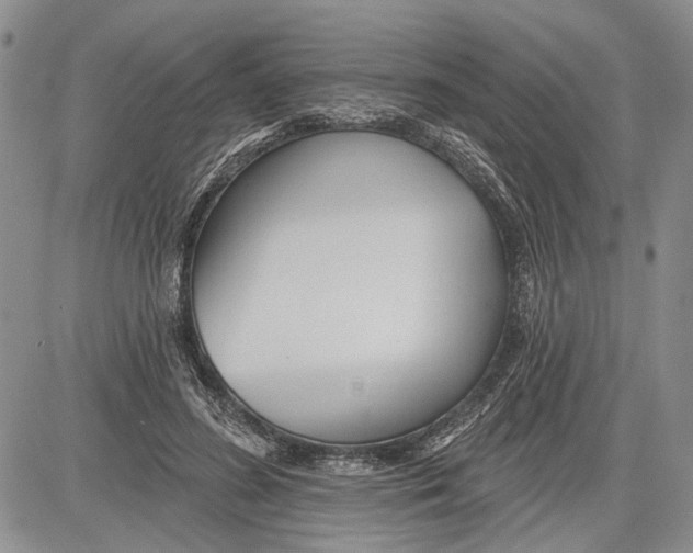 X0000081580596200702051241