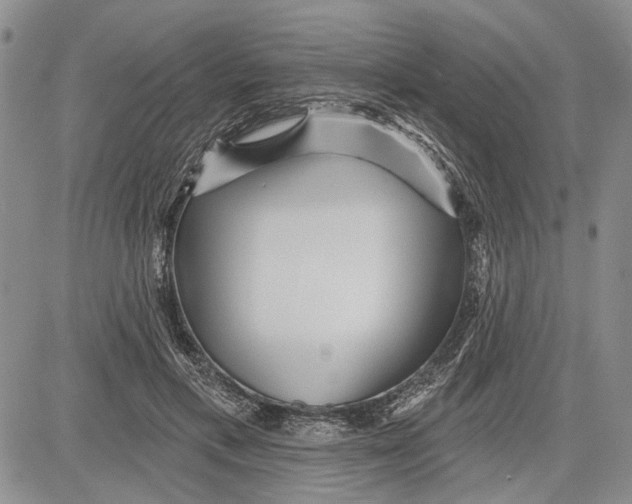 X0000081580597200702051241