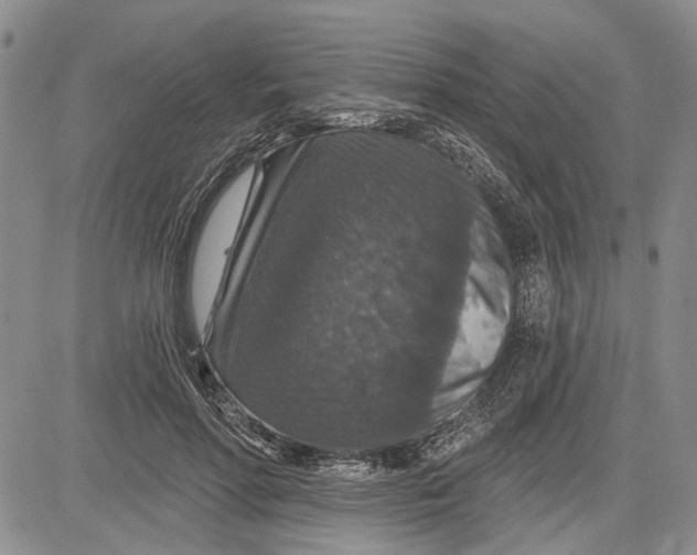 X0000081580598200702051241