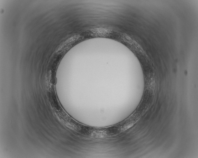 X0000081580599200702051241