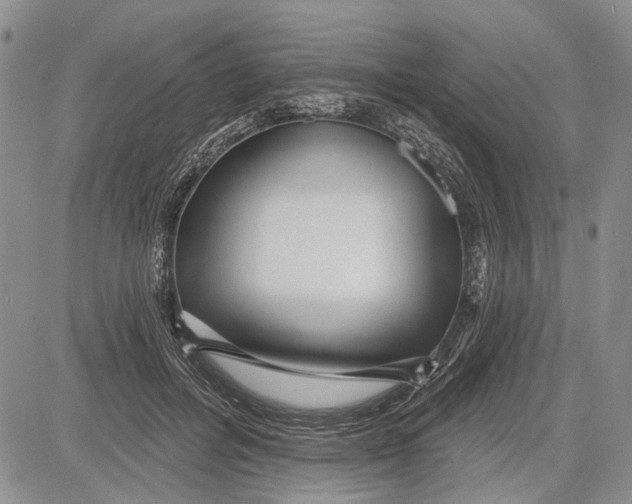 X0000081580600200702051241