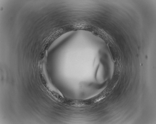 X0000081580601200702051241