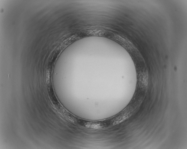 X0000081580602200702051241