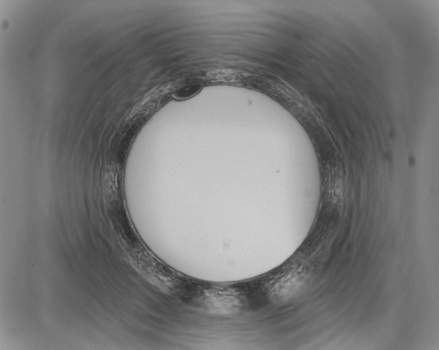 X0000081580603200702051241